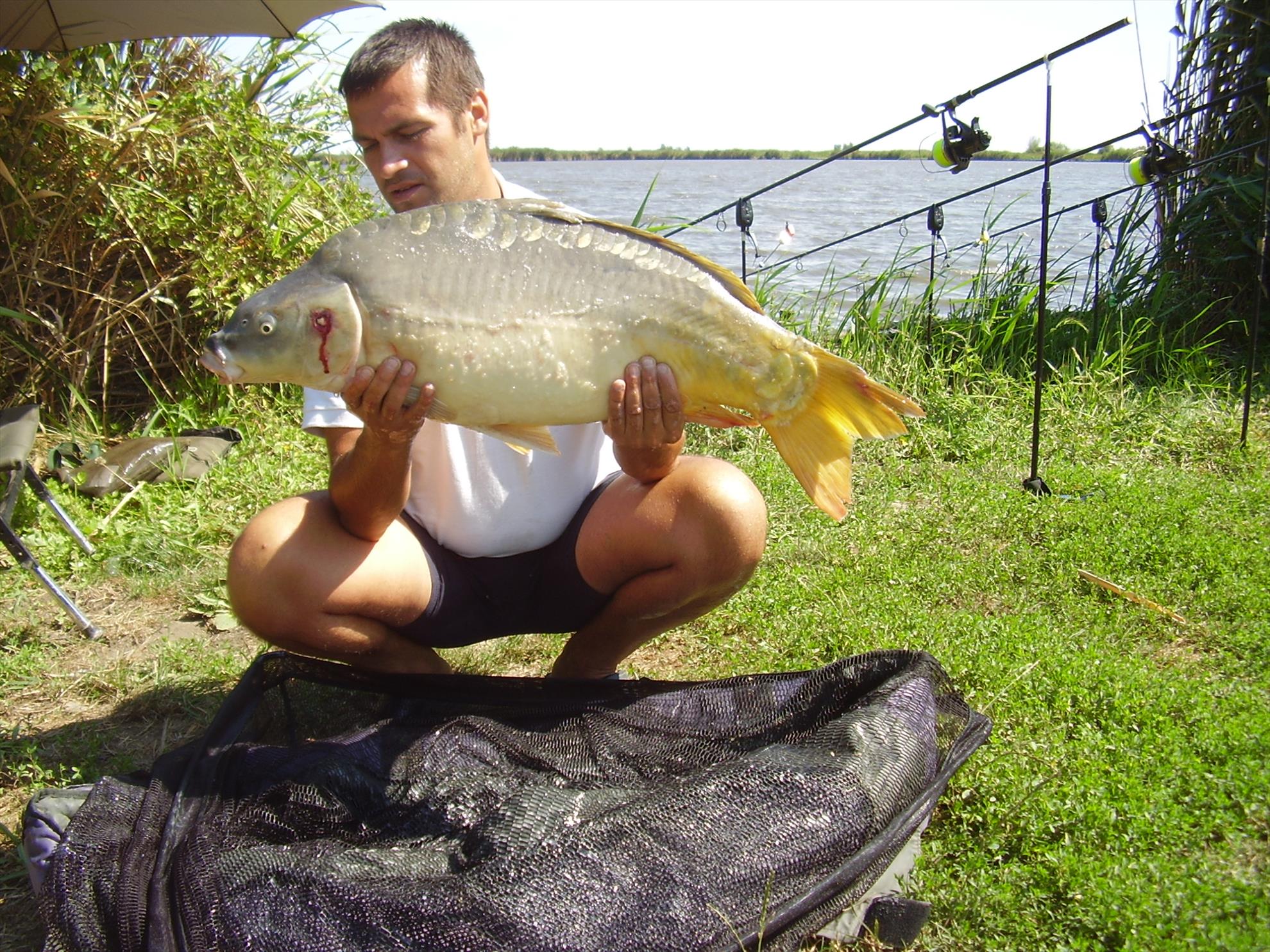 Alejandro Carp Team - Ohat Ungaria 2013 - p5060001.JPG